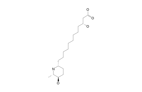 MORUSIMIC-ACID-D;(3R)-3-HYDROXY-12-[(1R,4R,5S)-4-HYDROXY-5-METHYL-PIPERIDIN-1-YL]-DODECANOIC-ACID