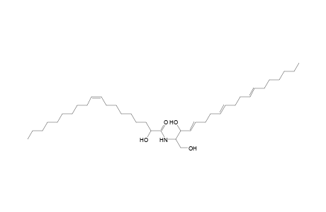 Cer 19:3;2O/19:1;(2OH)