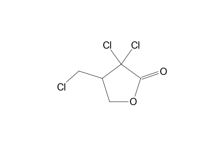4-(chloromethyl)-3,3-dichlorodihydro-2(3H)-furanone