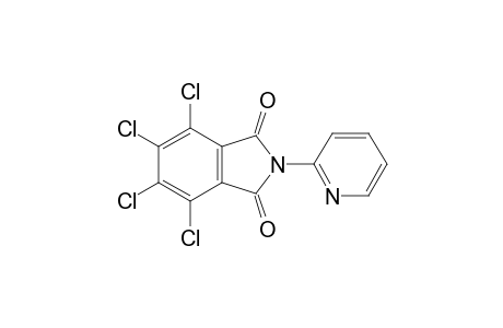 4,5,6,7-Tetrachloro-2-(pyridin-2-yl)isoindoline-1,3-dione