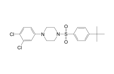 1-(4-tert-butylphenyl)sulfonyl-4-(3,4-dichlorophenyl)piperazine