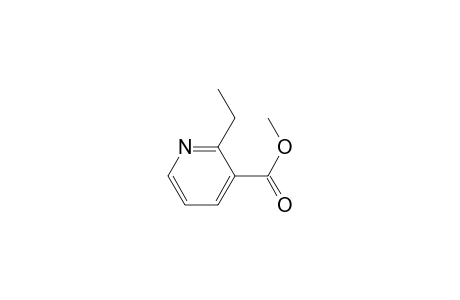 2-Ethyl-3-pyridinecarboxylic acid methyl ester