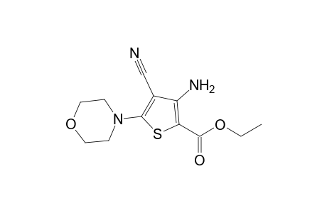 Ethyl 3-amino-4-cyano-5-(4-morpholinyl)-2-thiophenecarboxylate