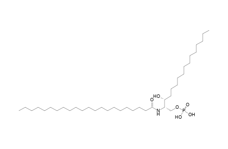 CerP 16:0;2O/22:0