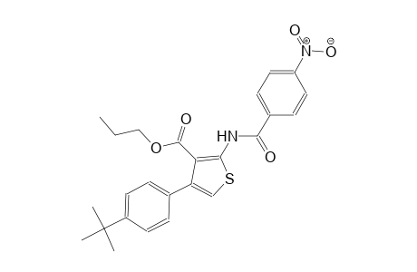 propyl 4-(4-tert-butylphenyl)-2-[(4-nitrobenzoyl)amino]-3-thiophenecarboxylate