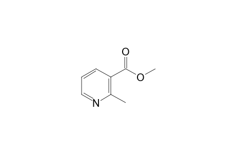 Methyl 2-methylnicotinate