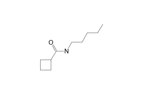 Cyclobutanecarboxamide, N-pentyl-