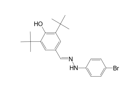 3,5-Ditert-butyl-4-hydroxybenzaldehyde (4-bromophenyl)hydrazone