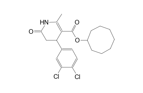 3-pyridinecarboxylic acid, 4-(3,4-dichlorophenyl)-1,4,5,6-tetrahydro-2-methyl-6-oxo-, cyclooctyl ester