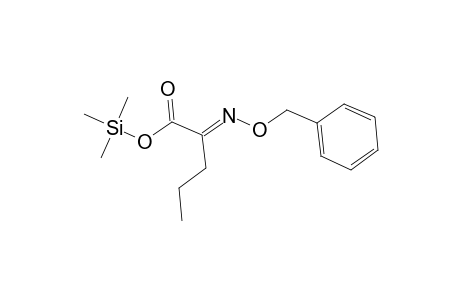 Pentanoic acid, 2-[(phenylmethoxy)imino]-, trimethylsilyl ester