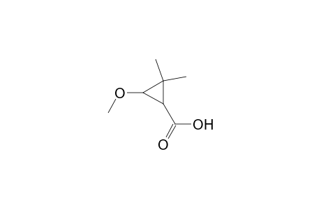 2,2-Dimethyl-3-methoxy-cyclopropane-1-carboxylic acid