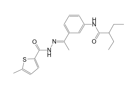 2-ethyl-N-(3-{(1E)-N-[(5-methyl-2-thienyl)carbonyl]ethanehydrazonoyl}phenyl)butanamide