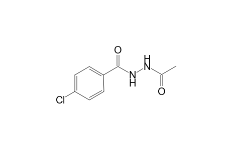 N'-Acetyl-4-chlorobenzohydrazide