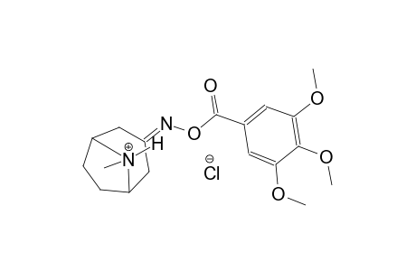 8-methyl-3-{[(3,4,5-trimethoxybenzoyl)oxy]imino}-8-azoniabicyclo[3.2.1]octane chloride