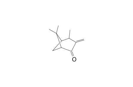 3-Methyleneverbanone