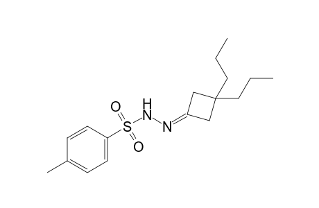 N-[(3,3-dipropylcyclobutylidene)amino]-4-methyl-benzenesulfonamide