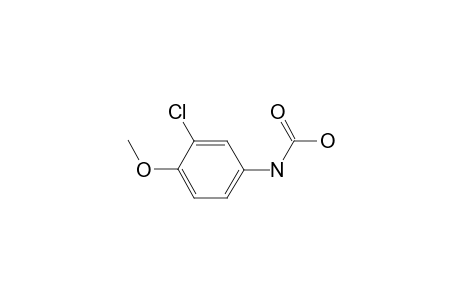 Metoxuron artifact (HOOC-)