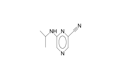 2-cyano-6-isopropylaminopyrazine