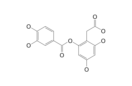 2-O-(3,4-DIHYDROXYBENZOYL)-2,4,6-TRIHYDROXYPHENYLACETIC_ACID