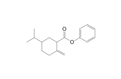 Phenyl 5-isopropyl-2-methylene-cyclohexanecarboxylate