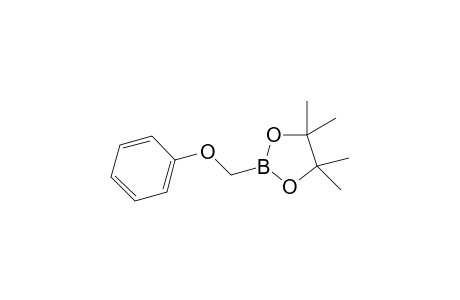 4,4,5,5-tetramethyl-2-(phenoxymethyl)-1,3,2-dioxaborolane