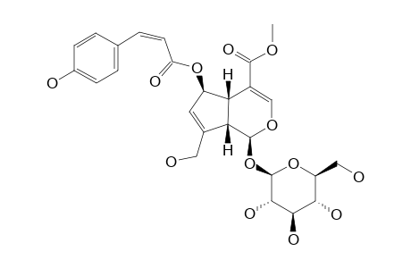 (Z)-6-O-PARA-COUMAROYL-SCANDOSIDE-METHYLESTER