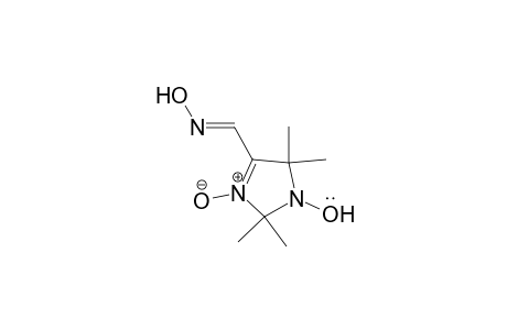 4-Hydroxyiminomethyl-2,2,5,5-tetramethyl-3-imidazoline-3-oxide-1-oxile