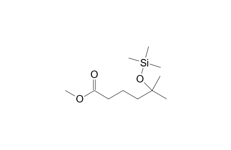 Methyl 5oh-5methylhexanoate 1TMS