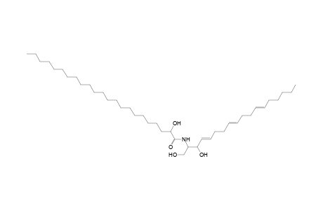 Cer 18:3;2O/23:0;(2OH)