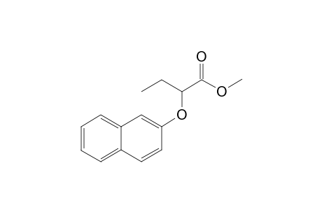 2-(2-Naphthyloxy)butanoic Acid Methyl Esters