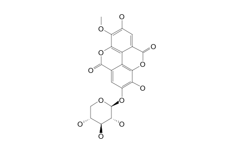 3'-O-METHYLELLAGIC-ACID-4-O-XYLOPYRANOSIDE