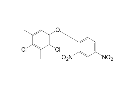 2,4-dichloro-3,5-xylyl 2,4-dinitrophenyl ether