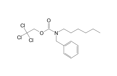 Carbonic acid, monoamide, N-benzyl-N-hexyl-, 2,2,2-trichloroethyl ester