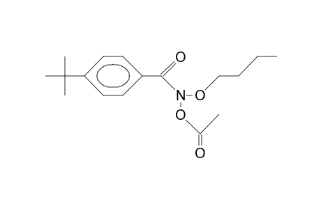 N-Acetoxy-P-tert-butyl-benzohydroxamic acid, butyl ester