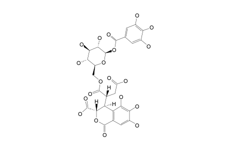 PHYLLANEMBLININ-F;6-O-NEOCHEBULOYL-1-O-GALLOYL-BETA-D-GLUCOSE