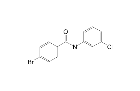 Benzamide, N-(3-chlorophenyl)-4-bromo-