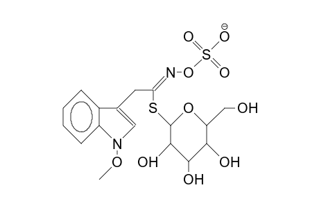 Neoglucobrassicin anion
