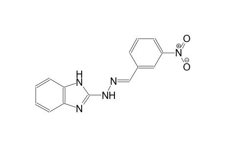 3-nitrobenzaldehyde 1H-benzimidazol-2-ylhydrazone