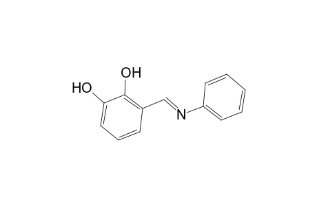 3-Phenyliminomethyl-benzene-1,2-diol