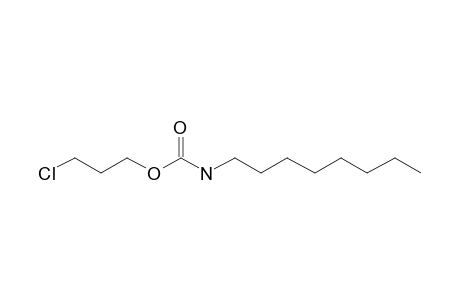 Carbonic acid, monoamide, N-octyl-, 3-chloropropyl ester