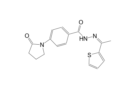 4-(2-oxo-1-pyrrolidinyl)-N'-[(Z)-1-(2-thienyl)ethylidene]benzohydrazide