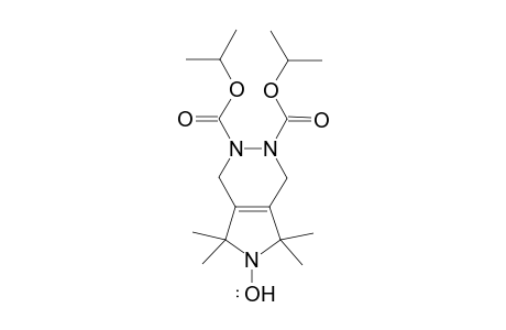 1,2,3,4,5,7-Hexahydro-2,3-diisopropyloxycarbonyl-5,5,7,7-tetramethyl-6H-pyrrolo[3,4-d]pyridazin-6-yloxyl radical