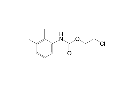 2,3-dimethylcarbanilic acid, 2-chloroethyl ester