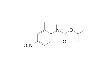 2-methyl-4-nitrocarbanilic acid, isopropyl ester