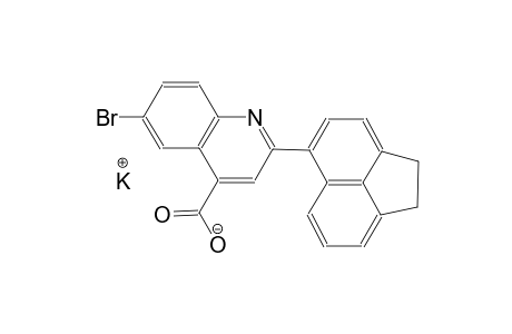 potassium 6-bromo-2-(1,2-dihydro-5-acenaphthylenyl)-4-quinolinecarboxylate