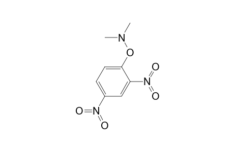 N,N-dimethyl-O-(2,4-dinitrophenyl)hydroxylamine