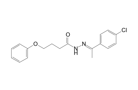 4-phenoxybutyric acid, (p-chloro-alpha-methylbenzylidene)hydrazide