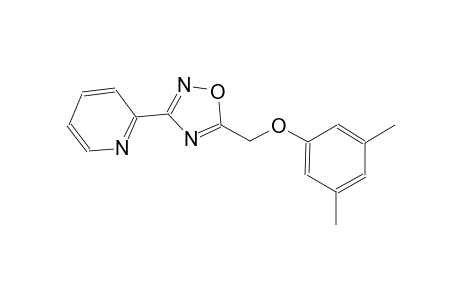 pyridine, 2-[5-[(3,5-dimethylphenoxy)methyl]-1,2,4-oxadiazol-3-yl]-