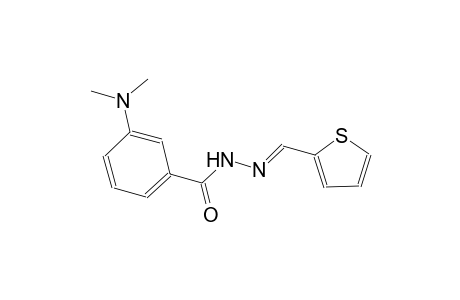 3-(dimethylamino)-N'-[(E)-2-thienylmethylidene]benzohydrazide