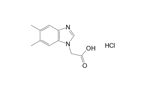 5,6-dimethyl-1-benzimidazoleacetic acid, hydrochloride